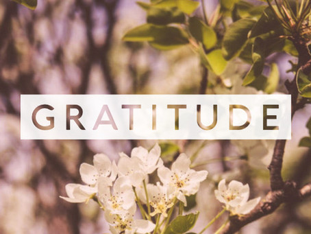 Practicing Gratitude Like a 21st Century Spiritual Warrior - (Spiritual Tool #6)