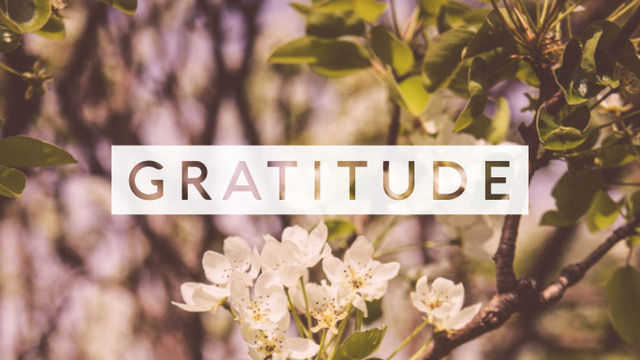 Practicing Gratitude Like a 21st Century Spiritual Warrior - (Spiritual Tool #6)