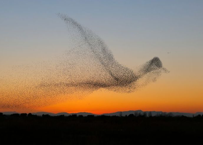 Package of 3 Personal Healing Sessions