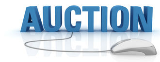 Tucker Auction #2