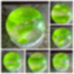 Clear Green NLR