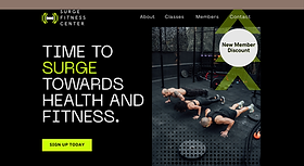 fitness website