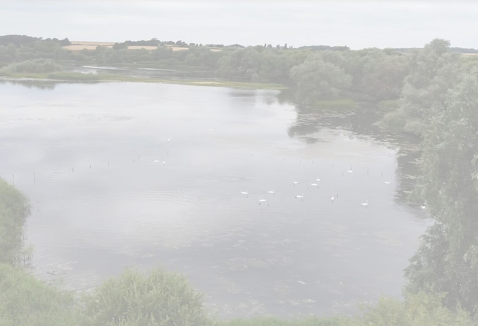 Linford Lakes_edited.jpg