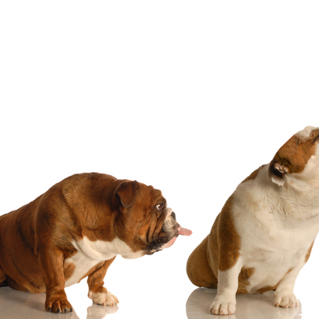 The Power of Confrontation | How to Navigate Conflict with Ease