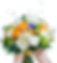 ae1b16fa37fe13bed6aab04a2fafaa5c (1) copie.png