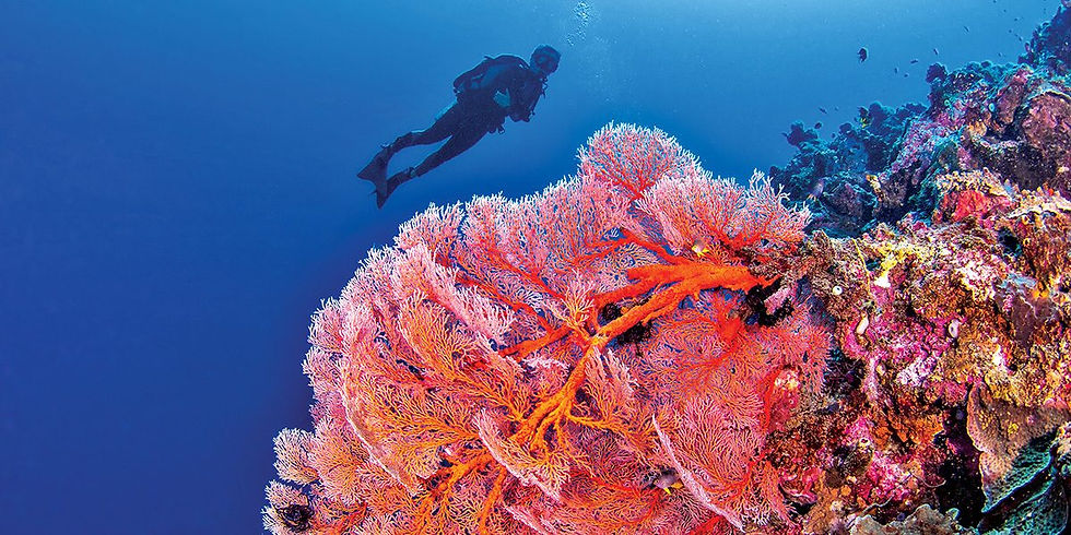 Aerial photo of Una Una Volcano in the Togean Islands with coral reefs visible and a yacht anchored offshore