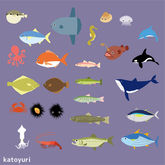allfish.jpg