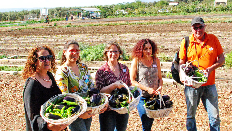 קבוצות קטופותי
