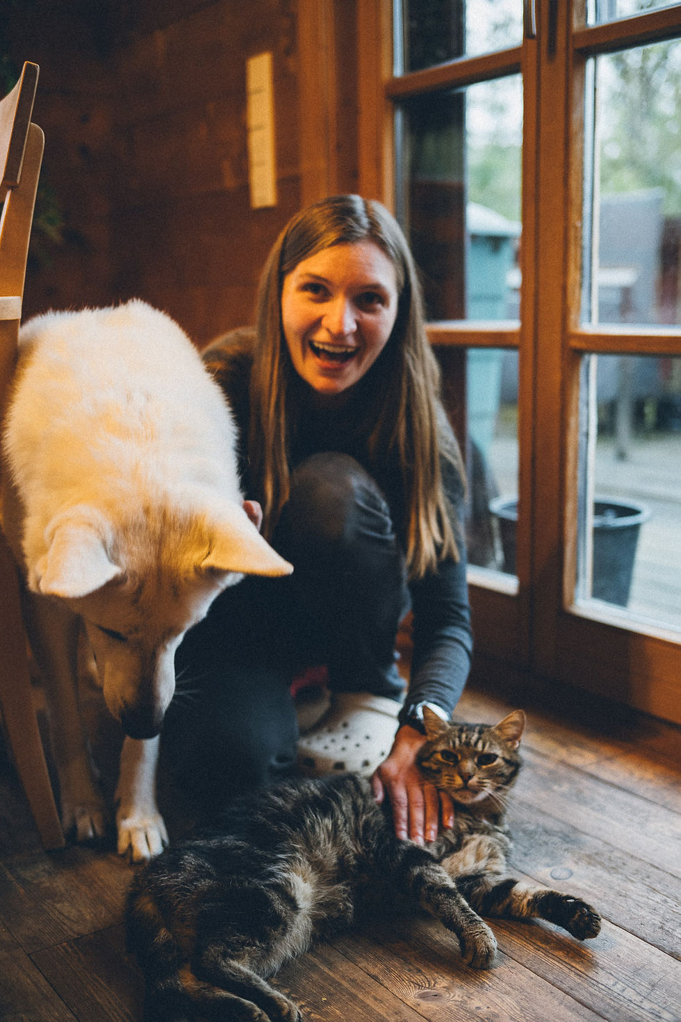 Frau streichelt Hund und Katze