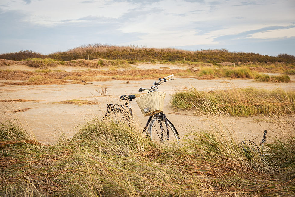Fahrrad mit Weidenkorb steht in Dünengras an einem leeren Sandstrand unter wolkigem Himmel.