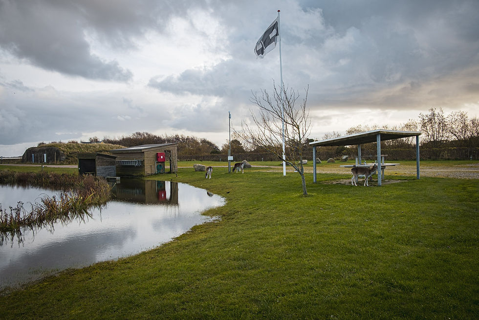 Grüne Wiese am Teich mit Unterstand, wehender Flagge und drei Rehen unter dunklem, wolkigem Himmel.
