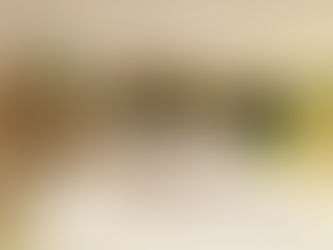 Projetos Comerciais: O impacto do design de varejo nas vendas de produtos