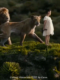 bbd1d25c94dd0093abe0a6ecd43b5ce4.gif