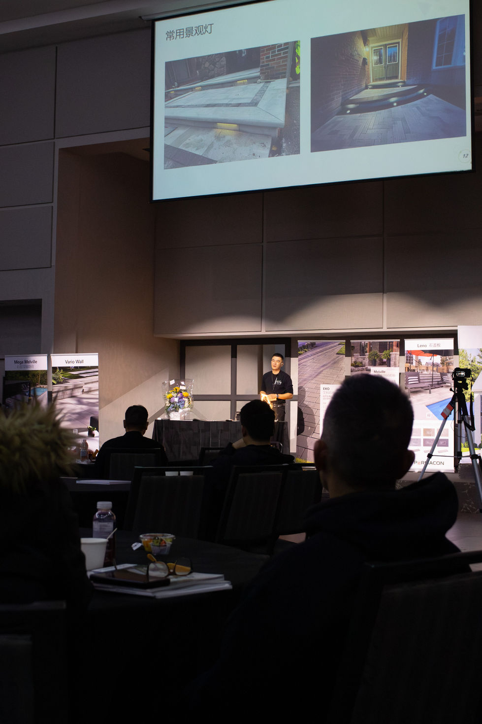 IMG_3001-Enhanced-NR