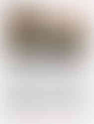 CHA article - High Times March 1983