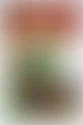 Tales of the World Famous Drive Thru Bud Comic #1