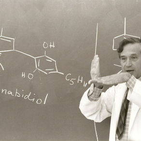 THE CHEMISTRY OF CANNABINOIDS