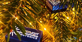 Holiday wishes and 60 years Applied Mathematics