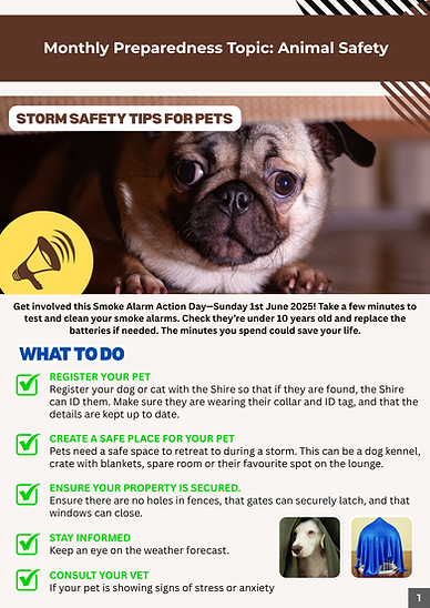 Monthly Preparedness Topic - pg 1.png