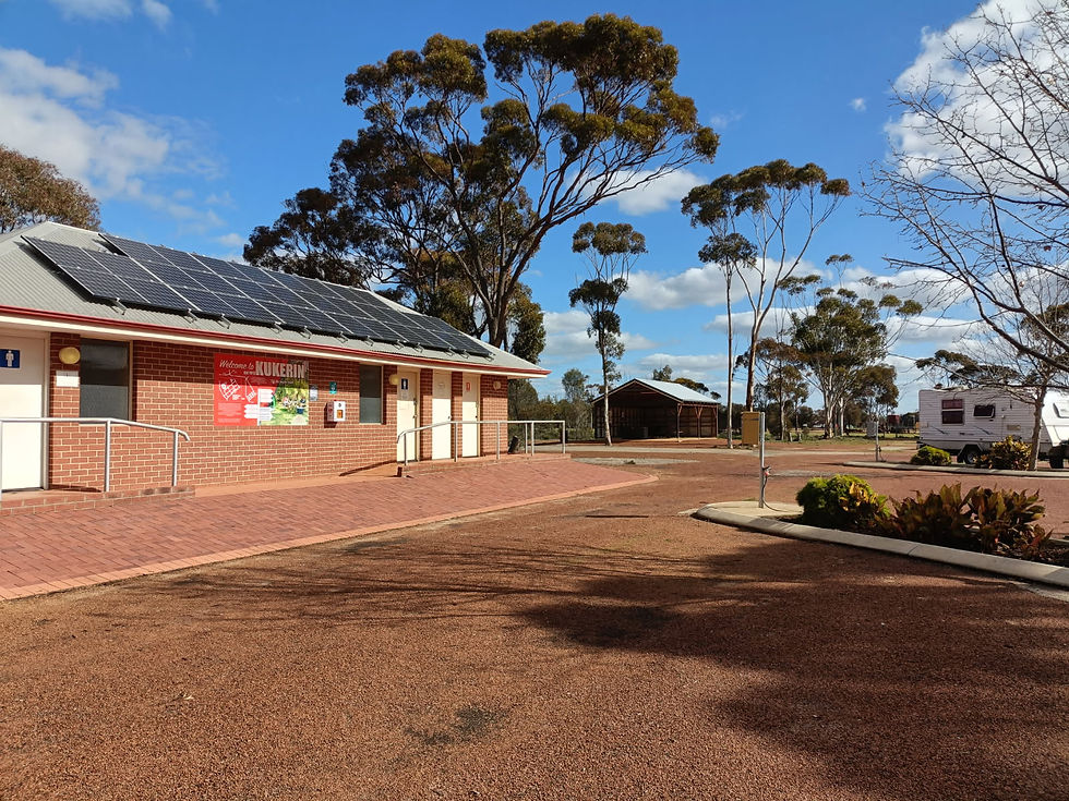 IMG_20250731_155315 (10)