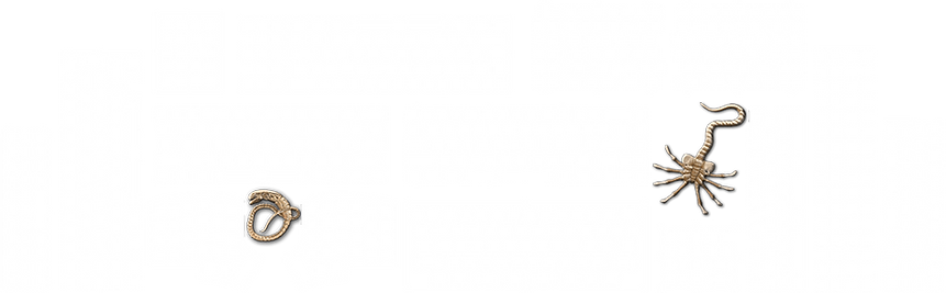 Mechanical Custom Keyboard Plates