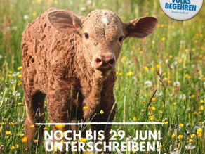 Veränderungen einleiten: Volksbegehren unterschreiben!