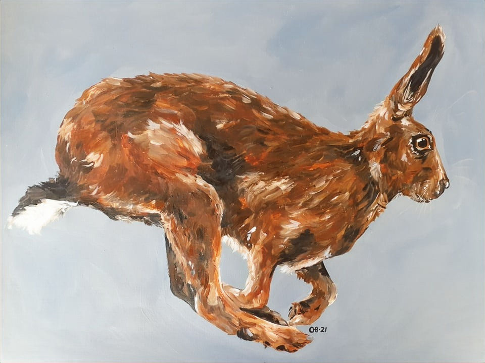 Thumbnail: Brown Hare