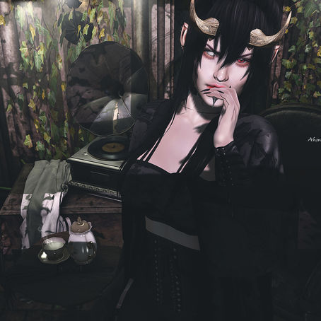 •╬• BLACK AURORA
