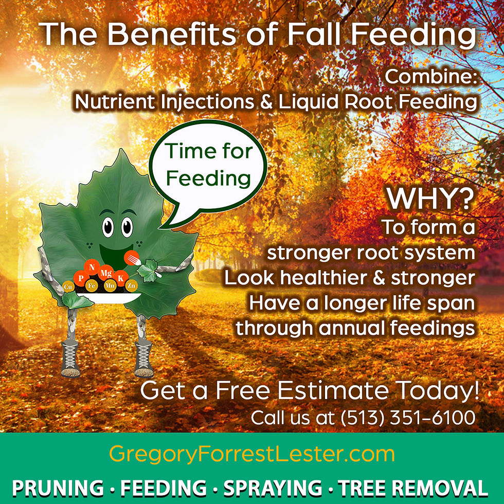 The Importance of Fall Tree Fertilization