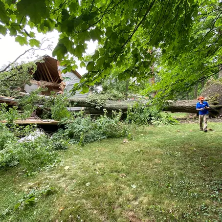 A damaged tree after severe weather poses a hazard to nearby homes