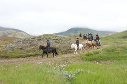 viking horse tour iceland.jpg
