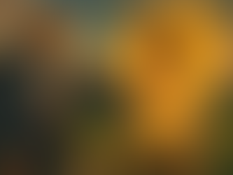 VCs: no son los malos de la película...