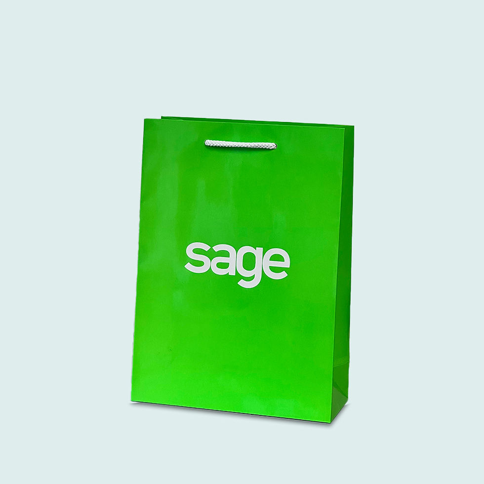 Miniature : Medium Size Laminated Paper Bags (Portrait) 24x33x10cm