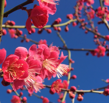 Calming your anxious thoughts