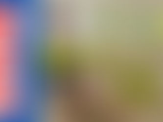 椅子から片脚で立てますか?
40cmの高さからの「立ち上がり」で膝筋力チェック