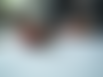 Assistência em Pesquisa Acadêmica: Ajuda Especializada para Projeto de Pesquisa