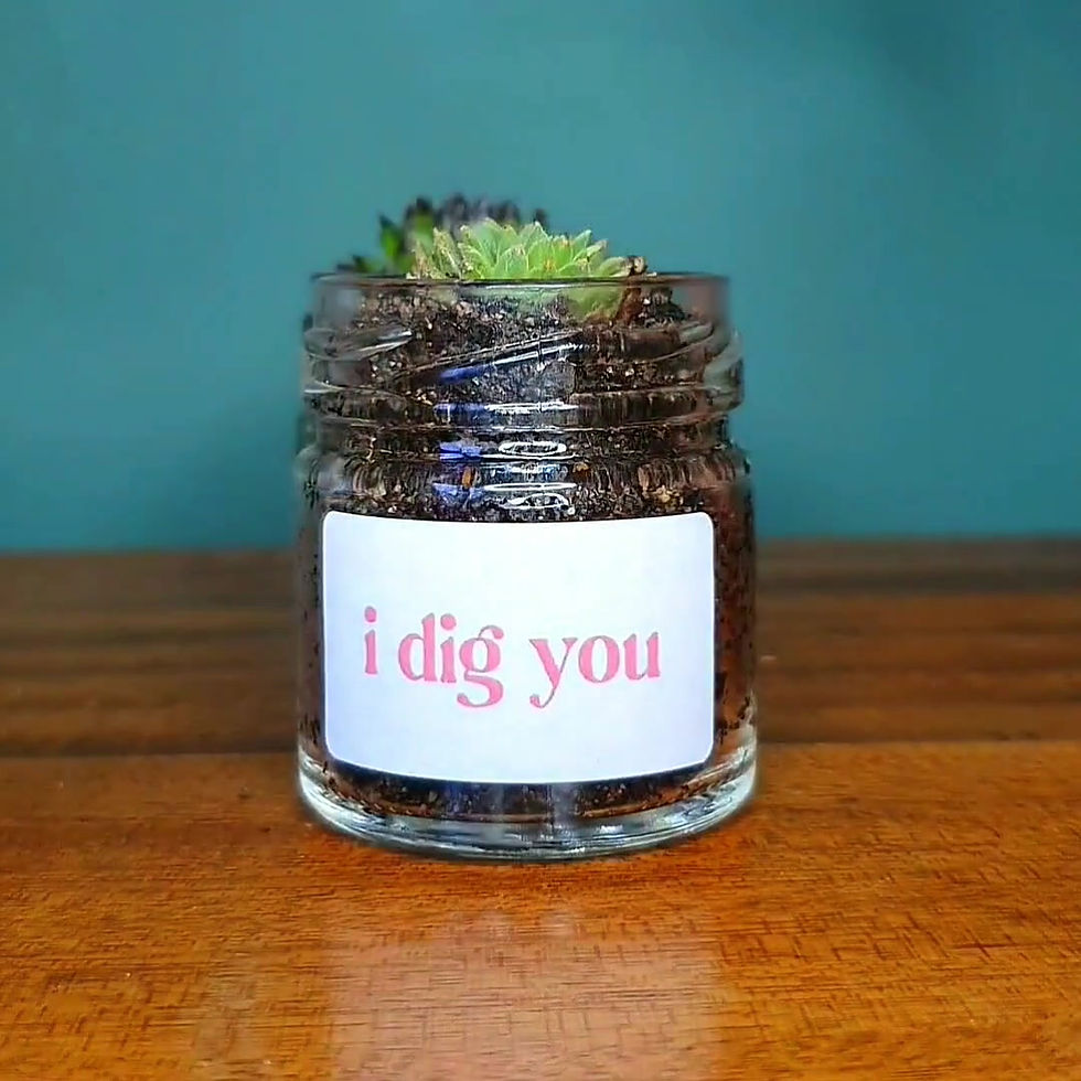 Thumbnail: Personalised Valentines Succulent Glass Jar Gifts | 4cm Pot