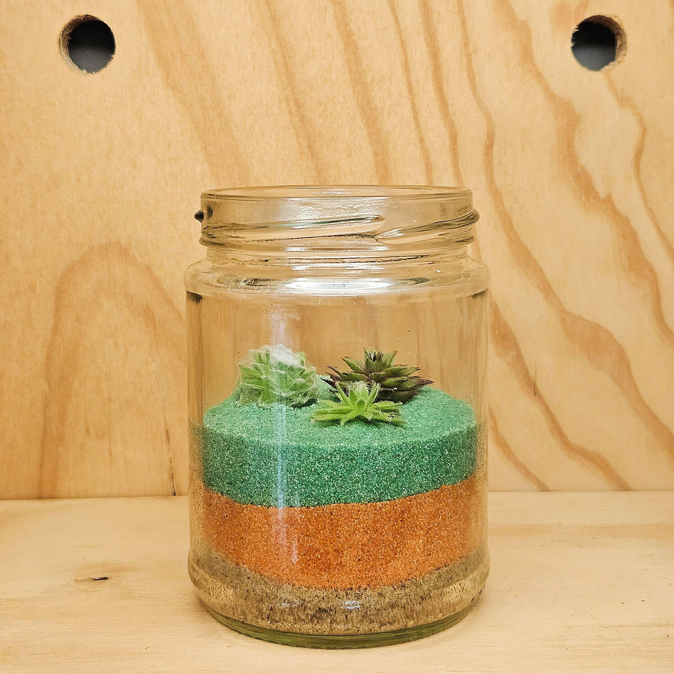 Thumbnail: 7.5cm DIY Succulent Desert Terrarium Kit with Tools – Choose your Sand Colours