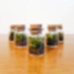 Thumbnail: The Tiny Moss Terrarium Key Ring | Just 2x3cm! Zero Plastic