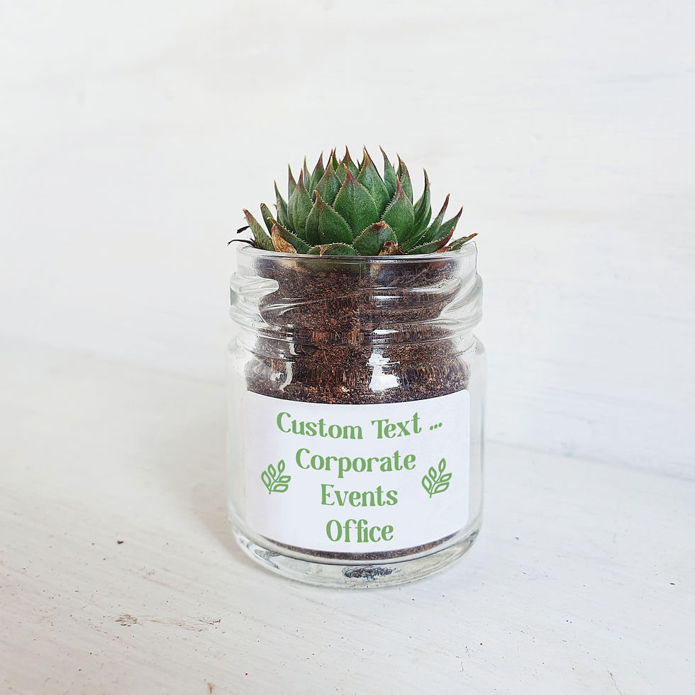 Thumbnail: Personalised Branded Business Succulent Glass Jar Gifts | 4cm Pot
