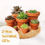 Thumbnail: Succulent Sempervivum Terracotta Pot Gifts | Tiny - Large 2-9cm Pots