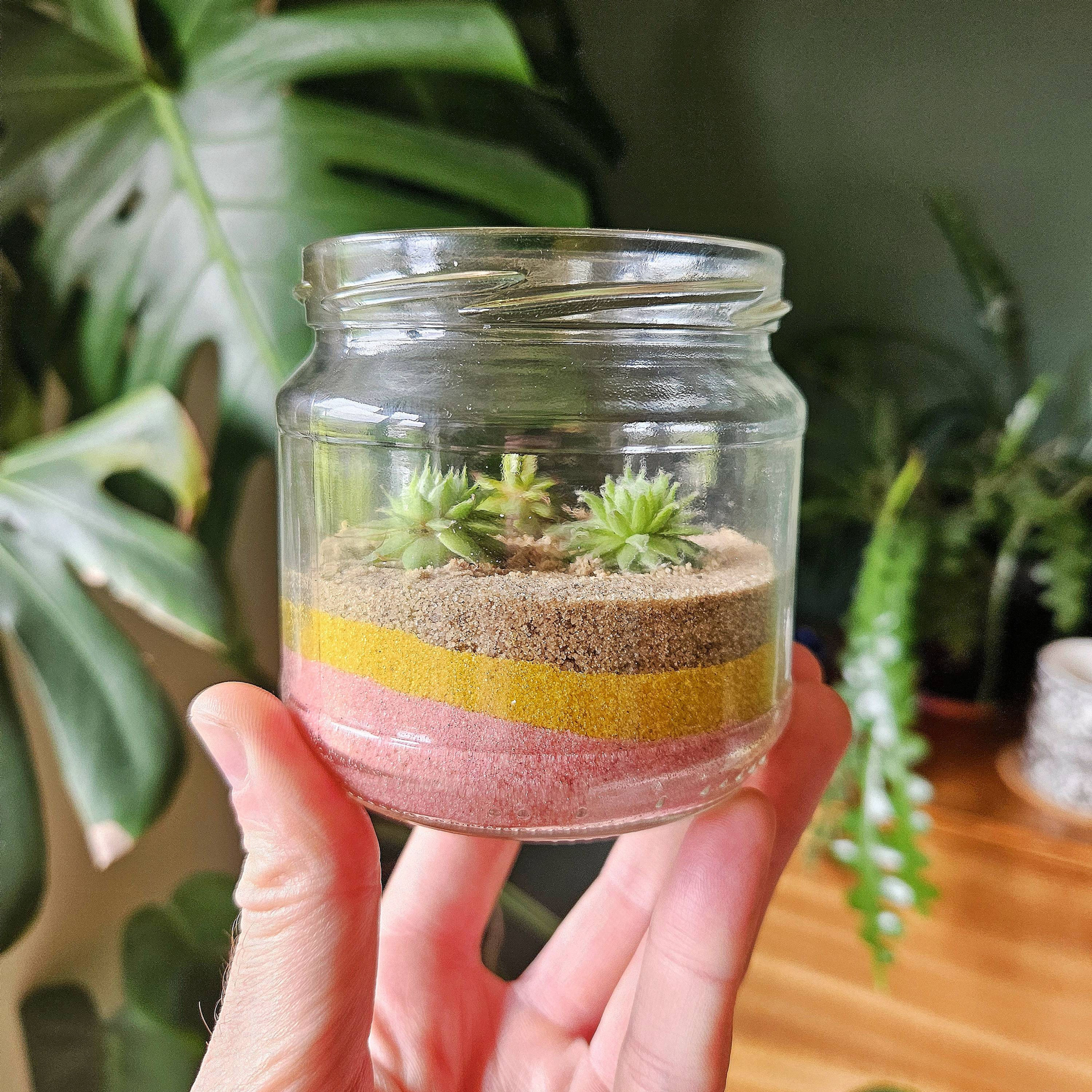 8.5cm DIY Succulent Desert Terrarium Kit with Tools – Choose your Sand Colours