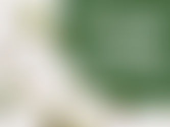 The No-Fuss Guide to Happy Air Plants