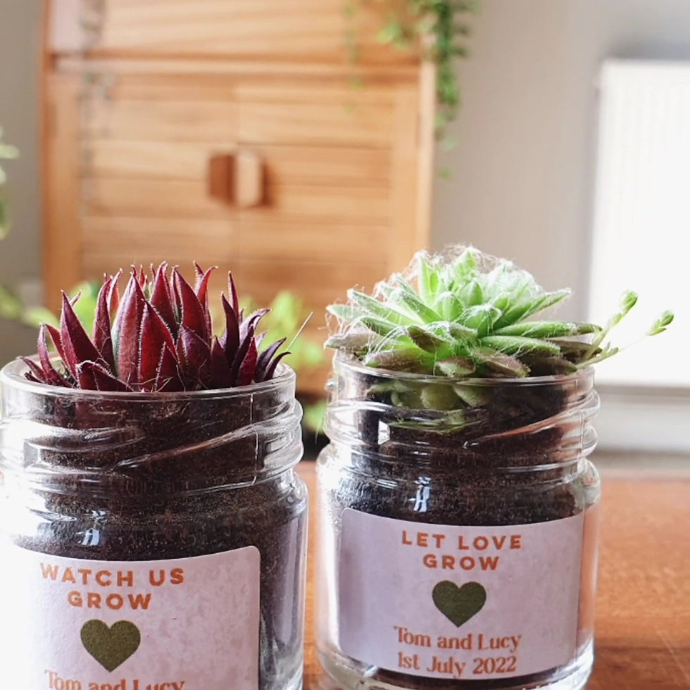 Thumbnail: Personalisable Baby Shower Succulent Glass Jar Gifts | Favours, Events 4cm Pot