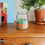 Thumbnail: 7.5cm DIY Succulent Desert Terrarium Kit with Tools – Choose your Sand Colours