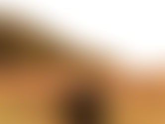 The cost of discipleship