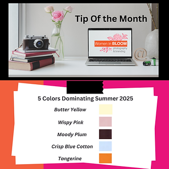 Photo Collection instagram Feed template (7).png