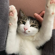 IMG_6156 2_edited.jpg