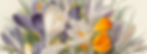 mia_33438a_crp.jpg