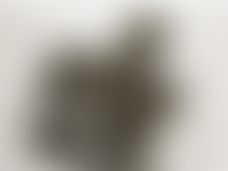 SPOTLIGHT ON THE ARTS: Evolved from a Pebble: Reflections on "Warrior With a Shield"